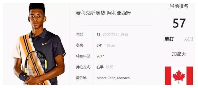 文化共振 文化共振