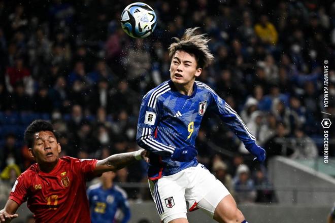 说明他们的 说明他们的