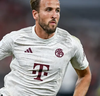 在社区中标 在社区中标