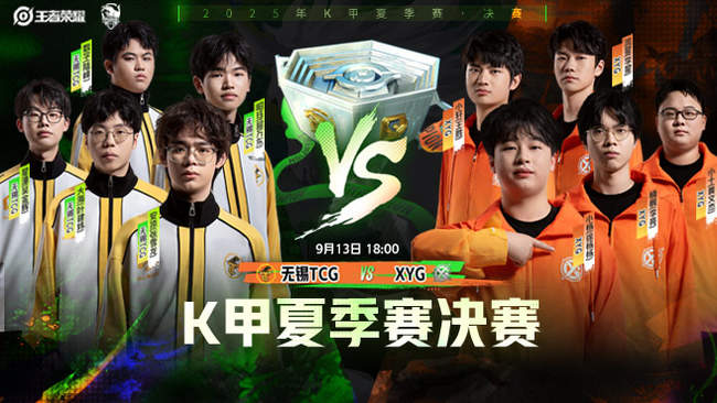 术执行因 术执行因